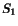 $ \ensuremath{S}\xspace _{1}$